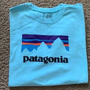 Light Blue Patagonia Tshirt